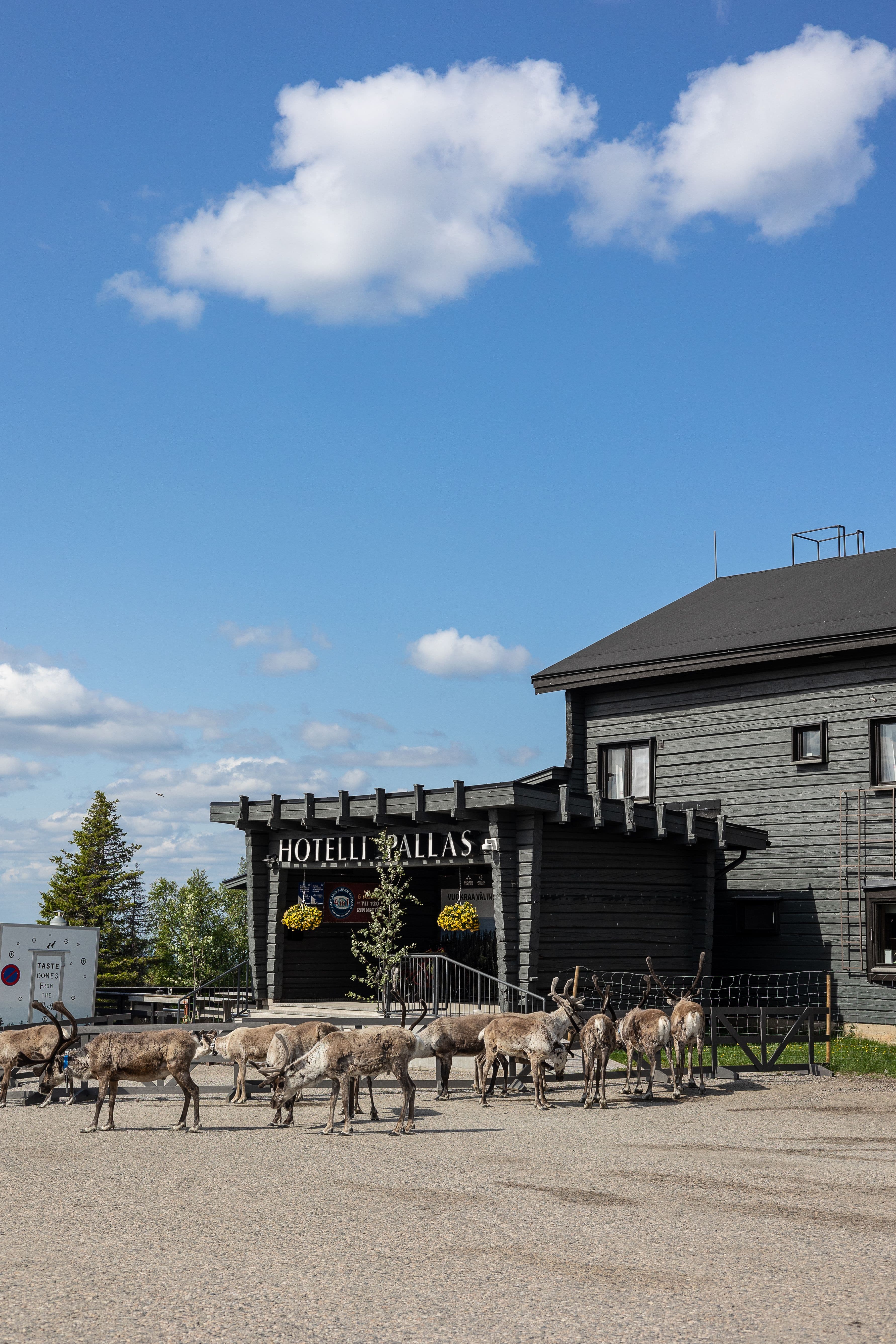 Lapland Hotels Pallas facade