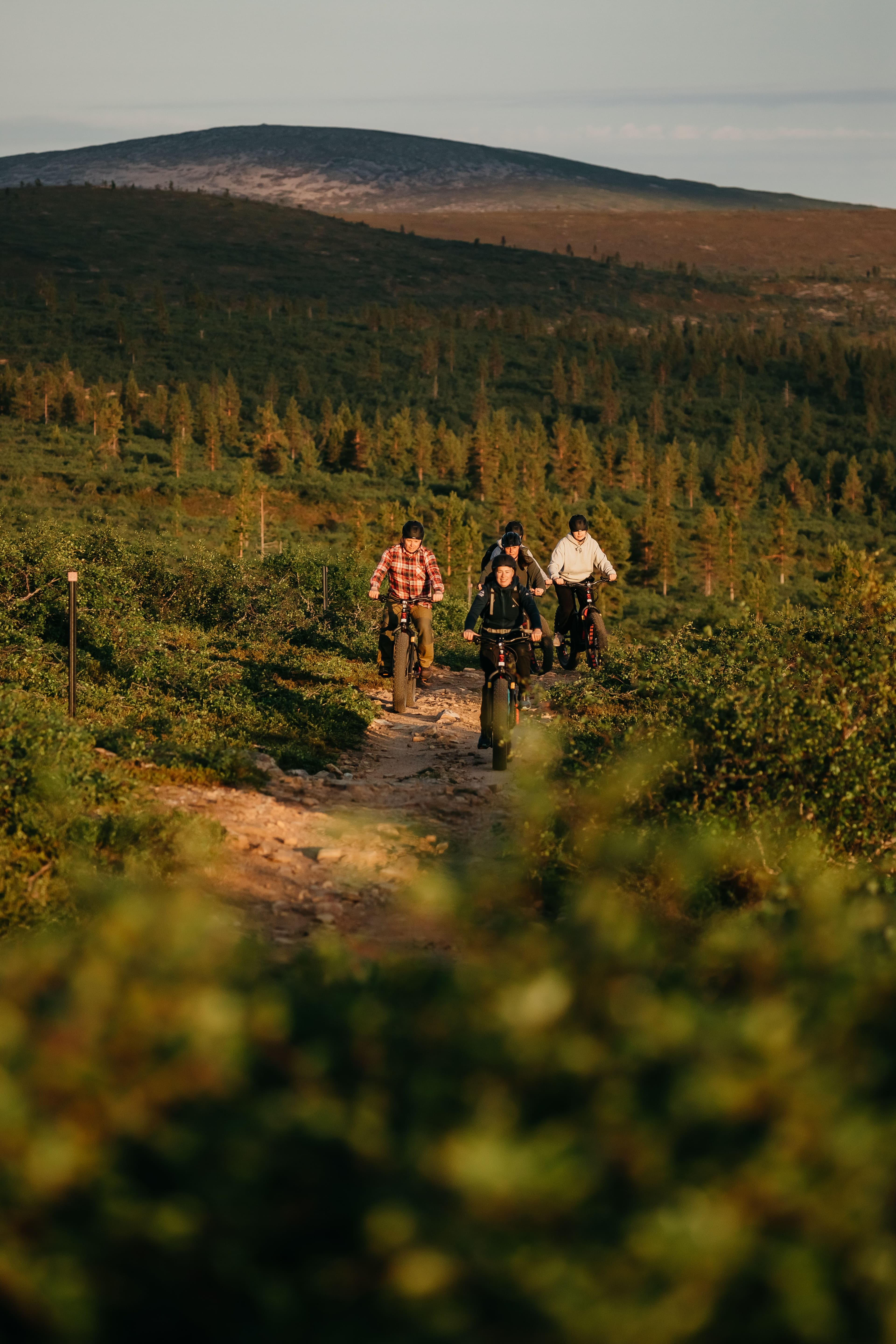 Kolme ihmistä ajaa polkupyörillä kapealla, kivikkoisella polulla vehreiden kukkuloiden keskellä Saariselällä. Kauempana siintää tunturi ja taivas on kirkas.