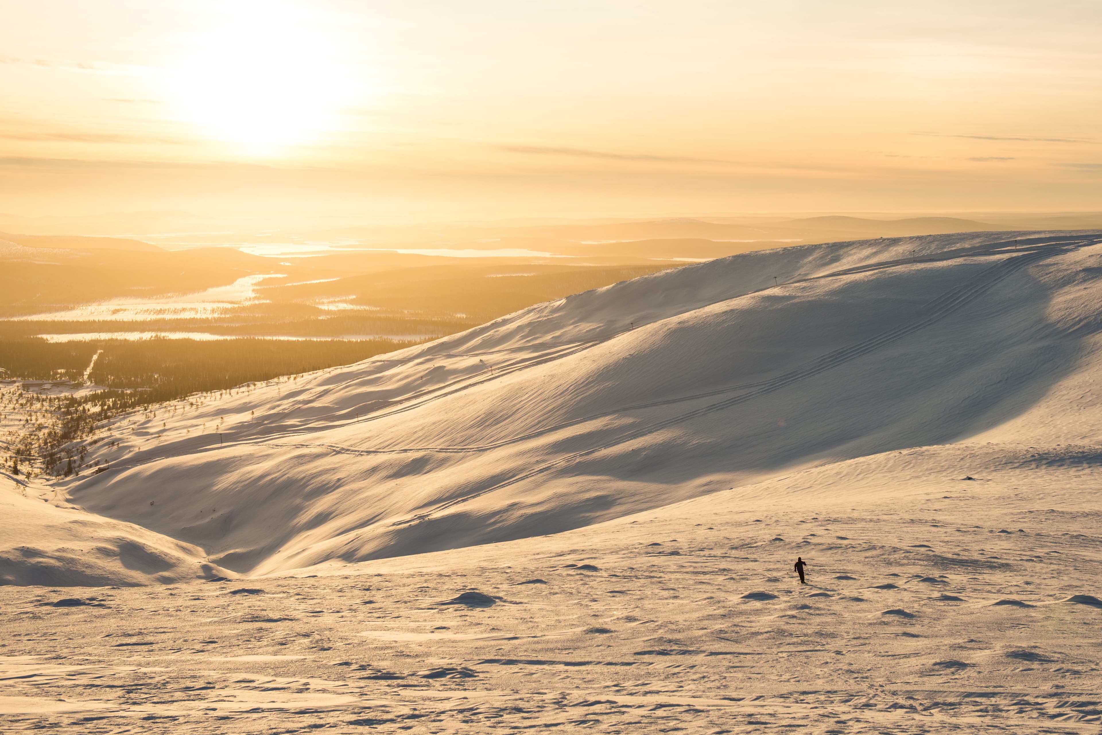 Lapland Safaris Pallas